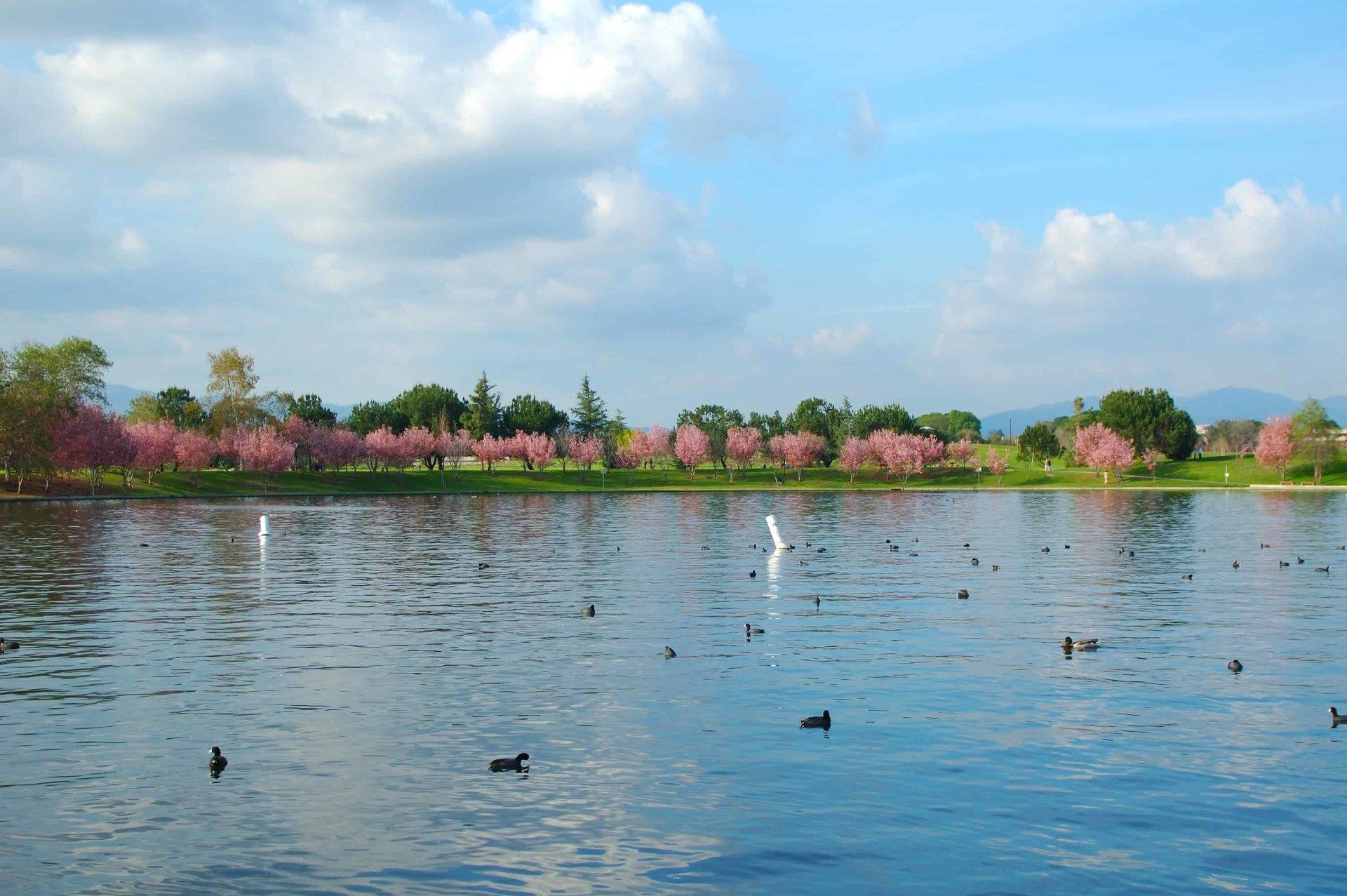 Spring at Lake Balboa