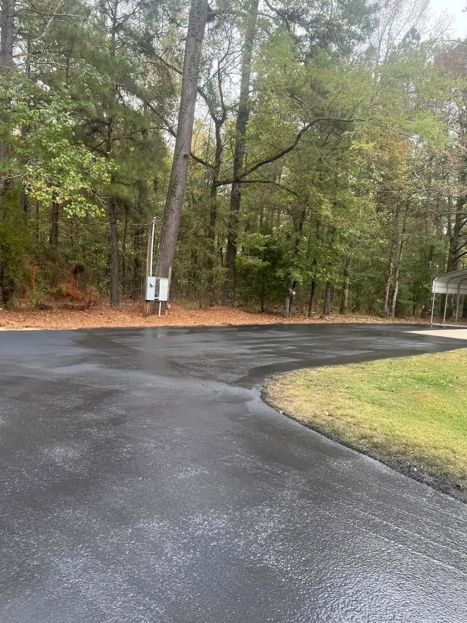 Newly paved asphalt driveway curves towards trees and greenery.