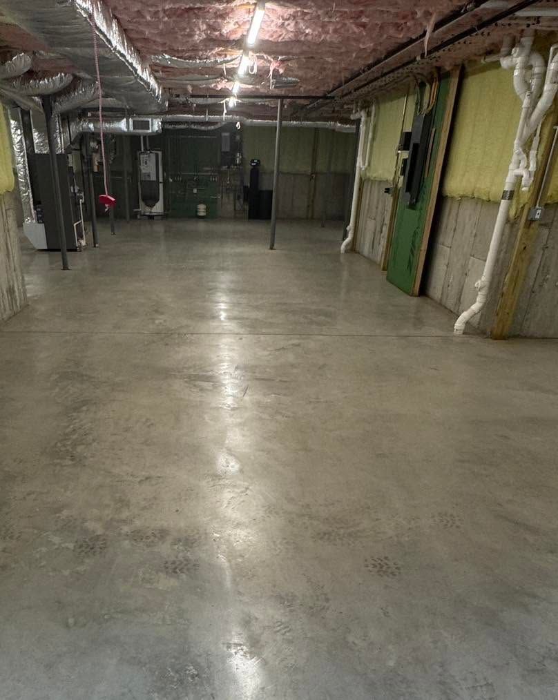 Empty concrete basement room with unfinished walls, exposed pipes, and green doors along the sides.