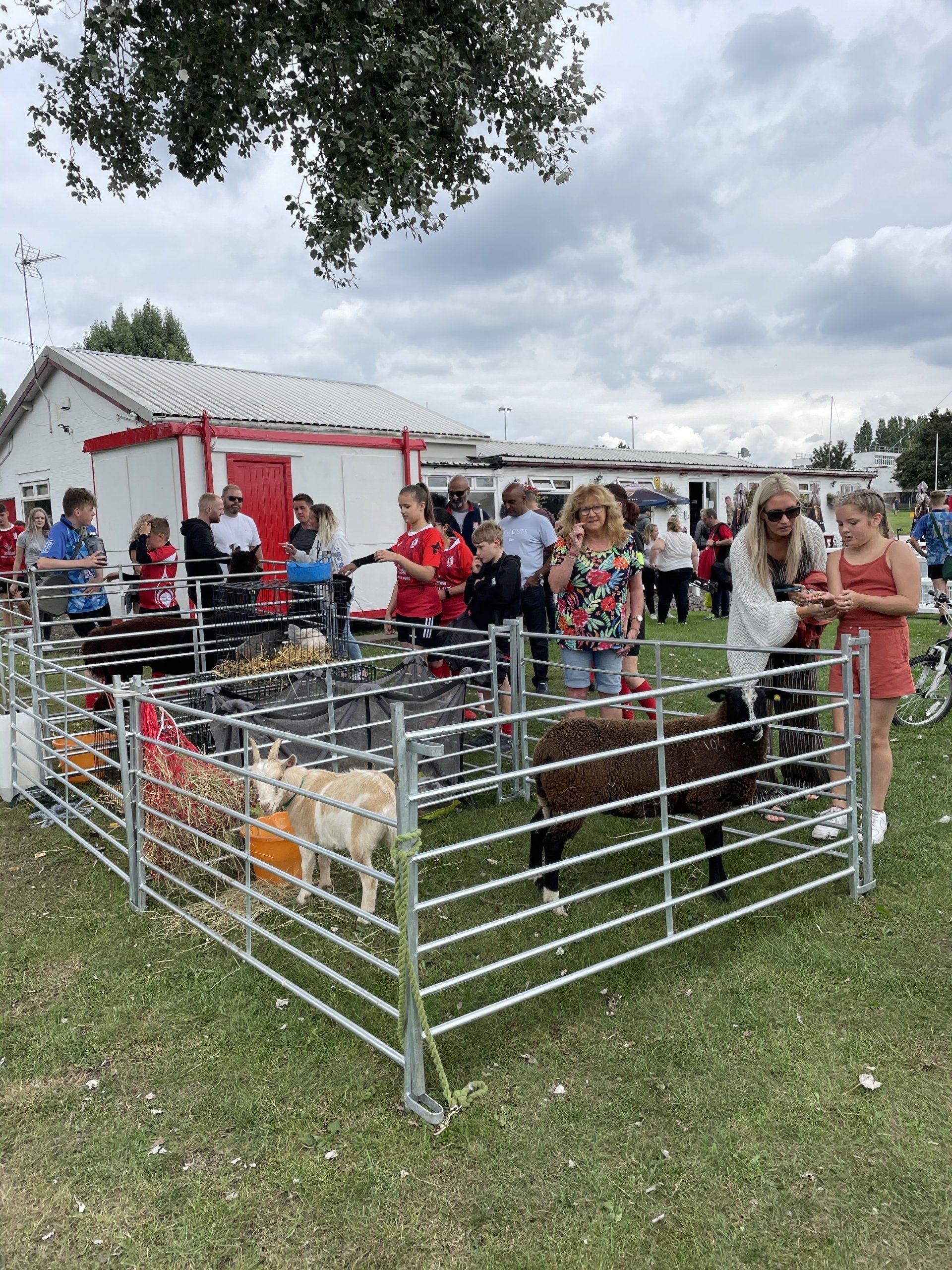A group of people are standing around a fenced in area with sheep.
