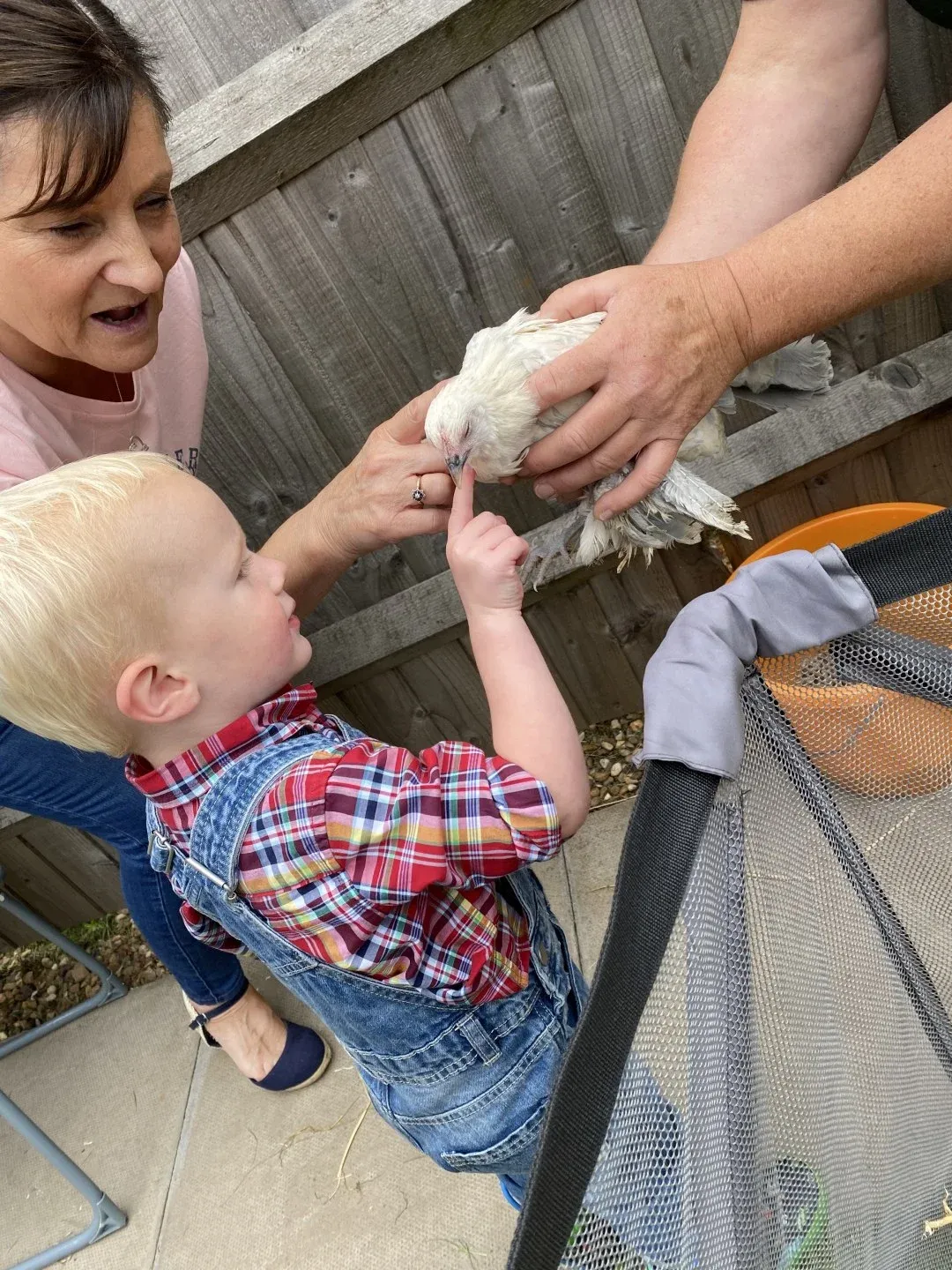 A woman is holding a chicken and a little boy is pointing at it.