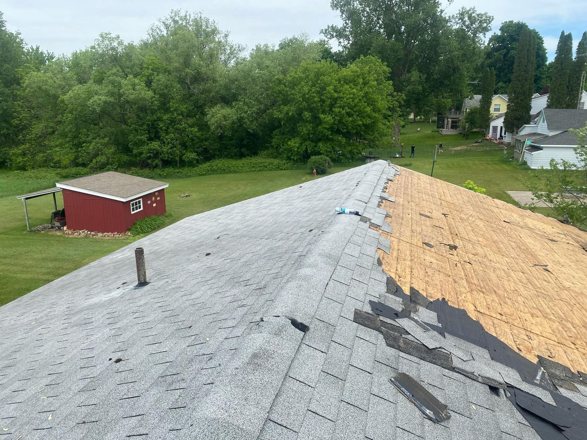Roof partially covered with old shingles being replaced; a red shed and trees are in the background.