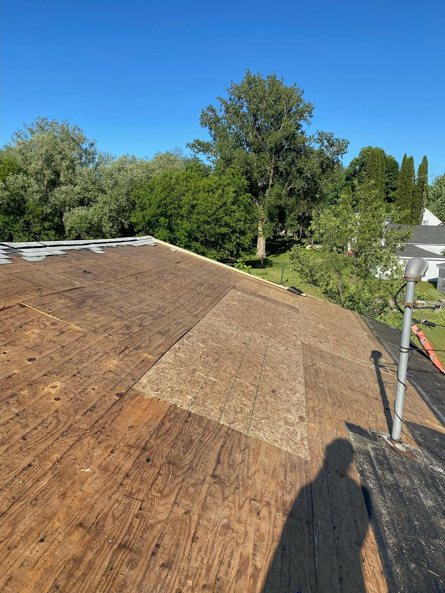 View from a roof of brown surface, trees and blue sky.