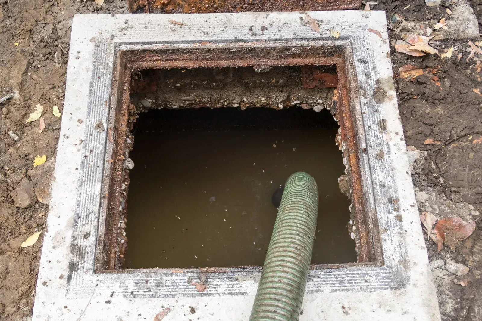 Wooden dock edge next to a calm lake, green trees in the background.