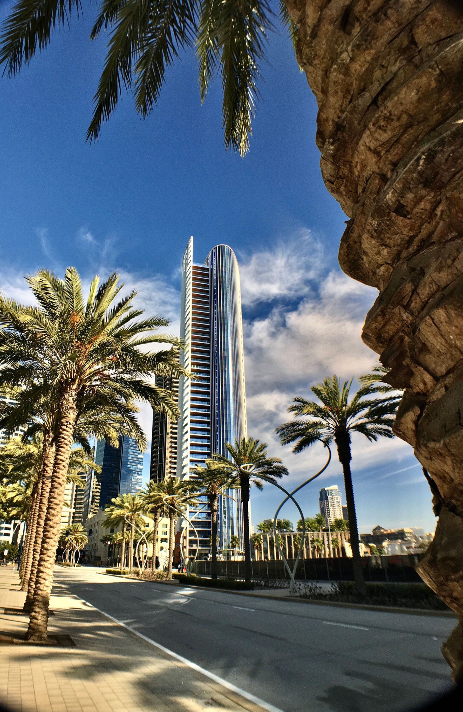 Photo of San Diego Skyscraper