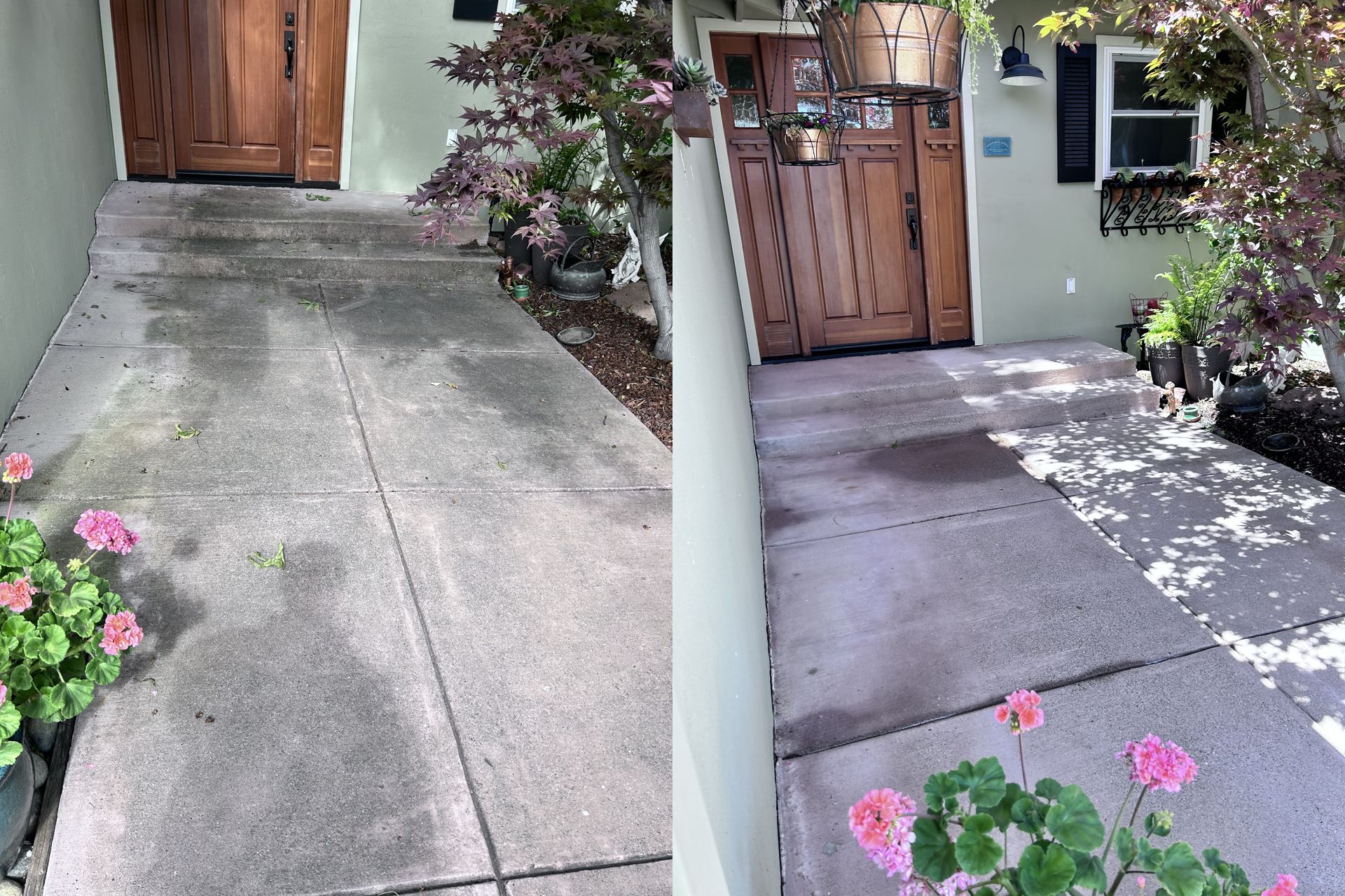 AJ Home Services, Pressure Washing, Walnut Creek Pressure Washing, Danville Pressure Washing, Alamo Pressure Washing, Pleasant Hill Pressure Washing, Lafayette Pressure Washing, Moraga Pressure Washing, Orinda Pressure Washing, San Ramon Pressure Washing, Pressure Washing Company, Pressure Washing Company Near Me, Pressure Washer Near Me, House Washing, Exterior House Washing, Exterior House Cleaning, House Pressure Washing, Driveway Cleaning, Driveway Pressure Wash, Driveway Cleaning, Patio Pressure Wash, Patio Cleaning, Walkway Pressure Wash, Walkway Cleaning, Sidewalk Pressure Wash, Sidewalk Cleaning, Window Washing, Walnut Creek Window Washing, Danville Window Washing, Alamo Window Washing, Pleasant Hill Window Washing, Lafayette Window Washing, Moraga Window Washing, Orinda Window Washing, San Ramon Window Washing, Window Washing Company Near Me, Window Ware Near Me, Gutter Cleaning, Gutter Cleaning Company Near Me, Gutter Cleaner Near Me, Roof Cleaning, Walnut Creek Roof Cleaning, Danville Roof Cleaning, Alamo Roof Cleaning, Pleasant Hill Roof Cleaning, Lafayette Roof Cleaning, Moraga Roof Cleaning, Orinda Roof Cleaning, San Ramon Roof Cleaning, Roof Cleaning Company Near Me, Roof Cleaner Near Me, Solar Panel Cleaning, Solar Panel Cleaning Company Near Me, Solar Panel Cleaner Near Me, Junk Hauling, Walnut Creek Junk Hauling, Danville Junk Hauling, Alamo Junk Hauling, Pleasant Hill Junk Hauling, Lafayette Junk Hauling, Moraga Junk Hauling, Orinda Junk Hauling, San Ramon Junk Hauling, Junk Hauling Near Me, Concrete Sealing Near Me, Concrete Sealing Services, Cement Sealing Near Me, Cement Sealing Services, Walnut Creek Cement Sealing, Danville Cement Sealing, Alamo Cement Sealing, Pleasant Hill Cement Sealing, Lafayette Cement Sealing, Moraga Cement Sealing, Orinda Cement Sealing, San Ramon Cement Sealing, Walnut Creek CA, Diablo Shadows Walnut Creek CA, Joaquin Ranch Walnut Creek CA, Sterlings Ridge Walnut Creek CA, San Miguel Walnut Creek CA, Walnut Knolls Walnut Creek CA, Livorna Estates Walnut Creek CA, Danville CA, Alamo CA, Alamo Oaks CA, Pleasant Hill CA, Lafayette CA, Moraga CA, Orinda CA, San Ramon CA, Blackhawk CA, Diablo CA, Clayton CA, Alhambra Valley CA, Castle Hill CA