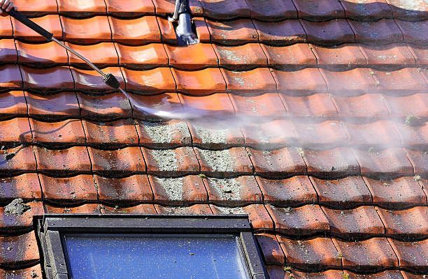 AJ Home Services, Pressure Washing, Walnut Creek Pressure Washing, Danville Pressure Washing, Alamo Pressure Washing, Pleasant Hill Pressure Washing, Lafayette Pressure Washing, Moraga Pressure Washing, Orinda Pressure Washing, San Ramon Pressure Washing, Pressure Washing Company, Pressure Washing Company Near Me, Pressure Washer Near Me, House Washing, Exterior House Washing, Exterior House Cleaning, House Pressure Washing, Driveway Cleaning, Driveway Pressure Wash, Driveway Cleaning, Patio Pressure Wash, Patio Cleaning, Walkway Pressure Wash, Walkway Cleaning, Sidewalk Pressure Wash, Sidewalk Cleaning, Window Washing, Walnut Creek Window Washing, Danville Window Washing, Alamo Window Washing, Pleasant Hill Window Washing, Lafayette Window Washing, Moraga Window Washing, Orinda Window Washing, San Ramon Window Washing, Window Washing Company Near Me, Window Ware Near Me, Gutter Cleaning, Gutter Cleaning Company Near Me, Gutter Cleaner Near Me, Roof Cleaning, Walnut Creek Roof Cleaning, Danville Roof Cleaning, Alamo Roof Cleaning, Pleasant Hill Roof Cleaning, Lafayette Roof Cleaning, Moraga Roof Cleaning, Orinda Roof Cleaning, San Ramon Roof Cleaning, Roof Cleaning Company Near Me, Roof Cleaner Near Me, Solar Panel Cleaning, Solar Panel Cleaning Company Near Me, Solar Panel Cleaner Near Me, Junk Hauling, Walnut Creek Junk Hauling, Danville Junk Hauling, Alamo Junk Hauling, Pleasant Hill Junk Hauling, Lafayette Junk Hauling, Moraga Junk Hauling, Orinda Junk Hauling, San Ramon Junk Hauling, Junk Hauling Near Me, Concrete Sealing Near Me, Concrete Sealing Services, Cement Sealing Near Me, Cement Sealing Services, Walnut Creek Cement Sealing, Danville Cement Sealing, Alamo Cement Sealing, Pleasant Hill Cement Sealing, Lafayette Cement Sealing, Moraga Cement Sealing, Orinda Cement Sealing, San Ramon Cement Sealing, Walnut Creek CA, Diablo Shadows Walnut Creek CA, Joaquin Ranch Walnut Creek CA, Sterlings Ridge Walnut Creek CA, San Miguel Walnut Creek CA, Walnut Knolls Walnut Creek CA, Livorna Estates Walnut Creek CA, Danville CA, Alamo CA, Alamo Oaks CA, Pleasant Hill CA, Lafayette CA, Moraga CA, Orinda CA, San Ramon CA, Blackhawk CA, Diablo CA, Clayton CA, Alhambra Valley CA, Castle Hill CA