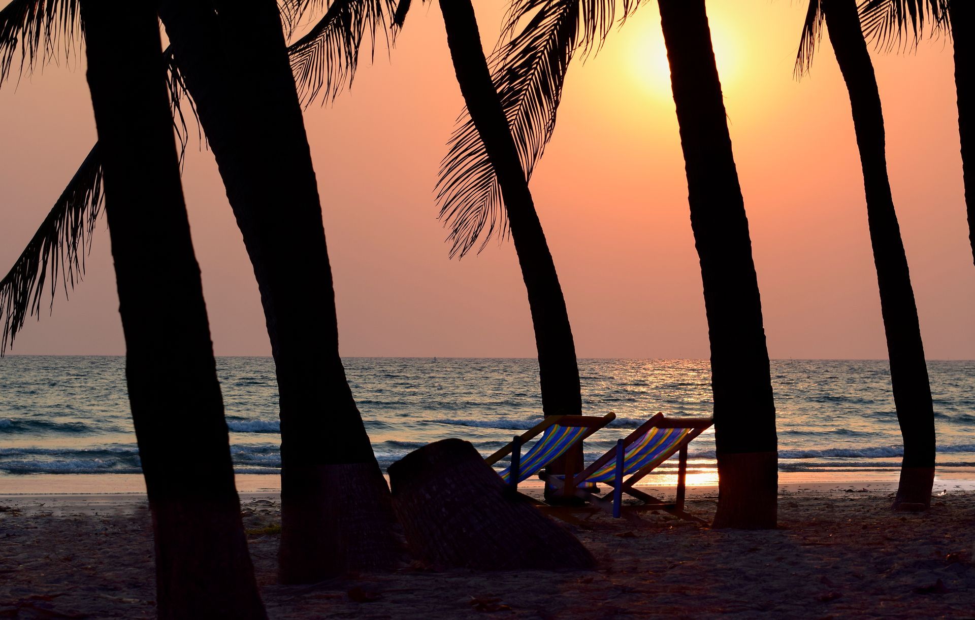 The sun is setting behind the palm trees on the beach