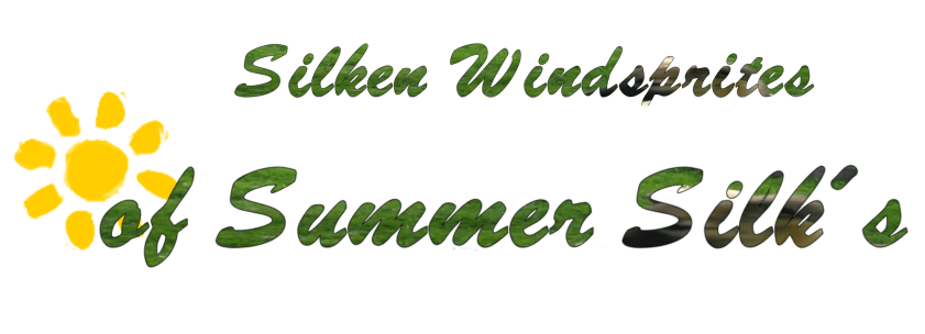 Silken Windsprite, Silken Windsprite Welpen, Silken Windsprite Züchter, Silken Windsprite Windhunde