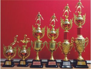 Fabricación de trofeos para eventos deportivos en todas las categorías. Trofeos en todos los modelos, tamaños y precios.
