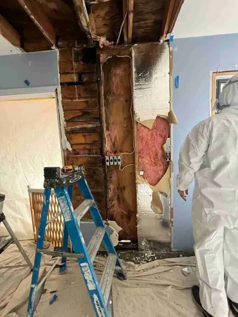 Workers repairing a damaged wall and ceiling in a room with a blue ladder and exposed insulation.