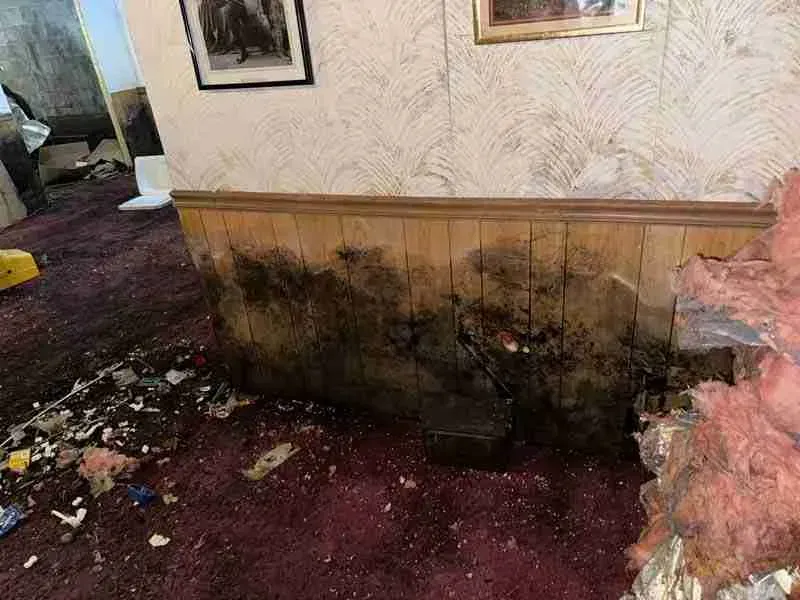 Burned wall and carpet in a room with soot damage and debris scattered on the floor