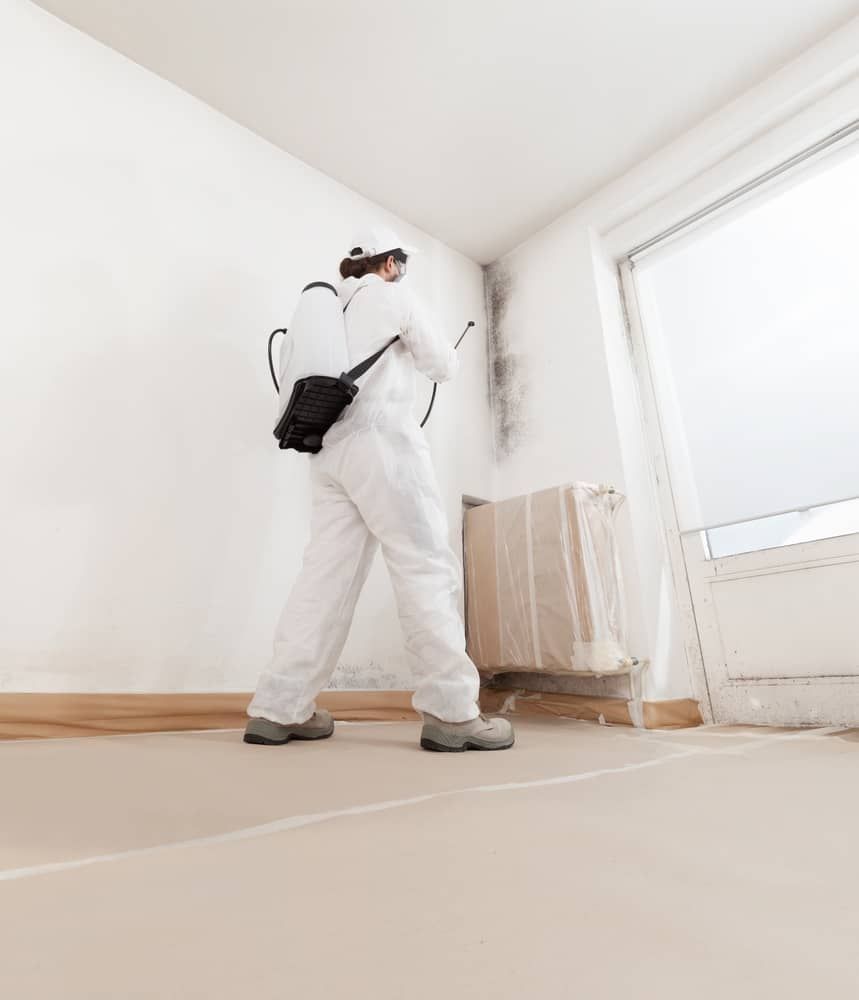 Painter in white coveralls spraying a wall in a bright room during renovation