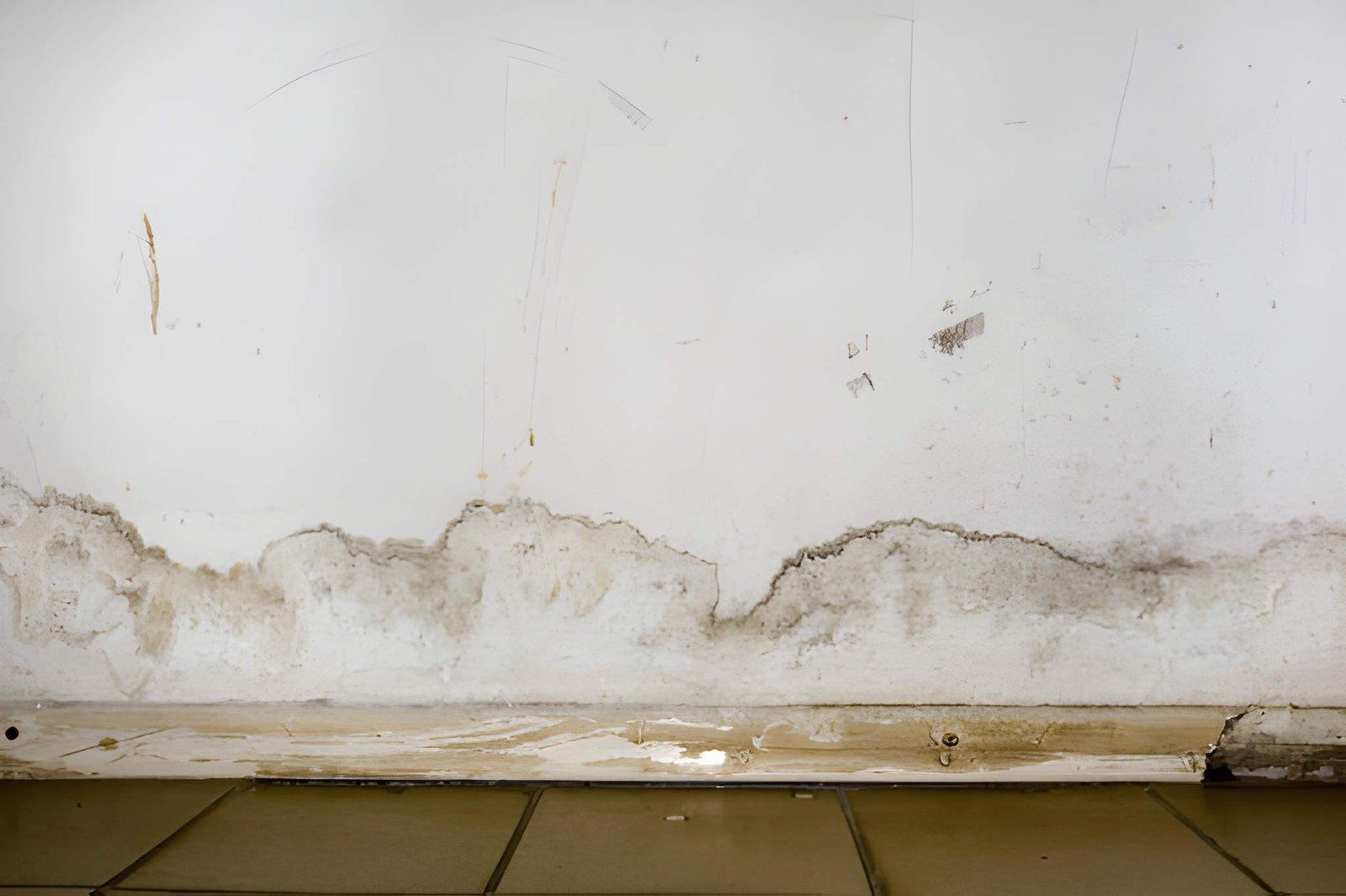 Water-damaged white wall with peeling paint and stained baseboard above brown floor tiles