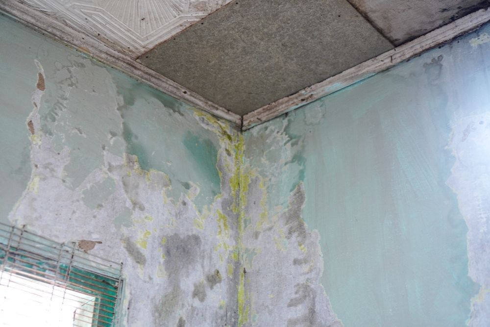 Peeling mint-green walls with water damage and mold in a damaged room corner
