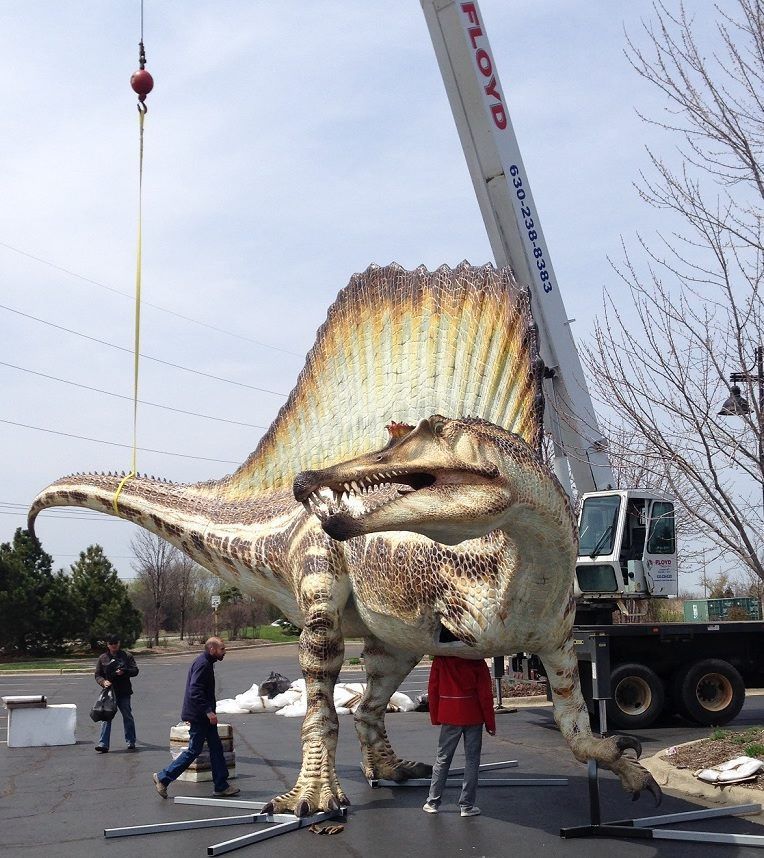 Giant spinosaur model being lifted by a crane at an outdoor site, with people standing nearby