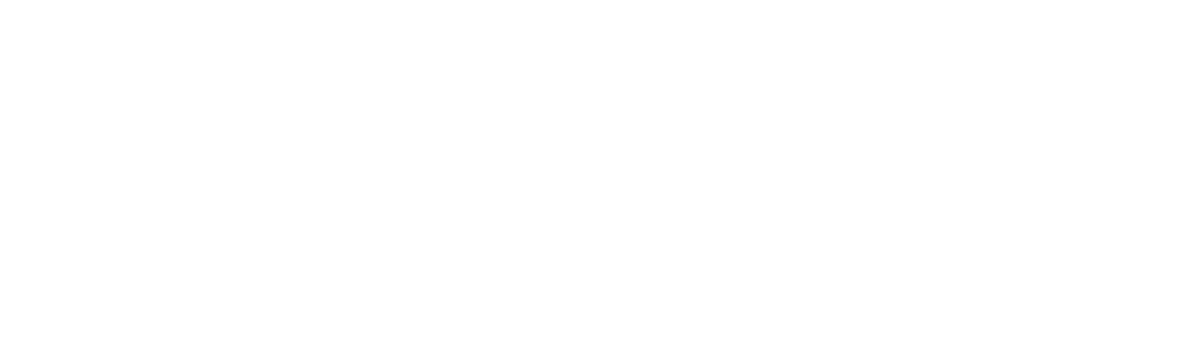 Company Logo - White