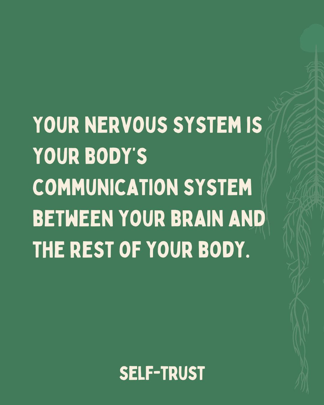 Your Body's Nervous System is Your Body's Communication System Between Your Brain and the Rest of Your Body