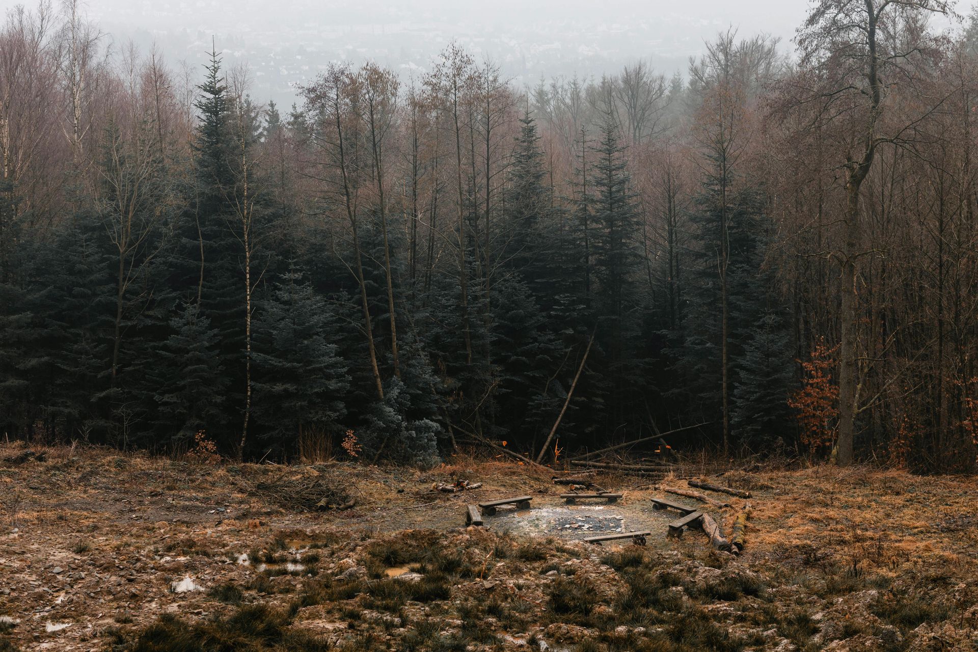 tree-service-glendale-california