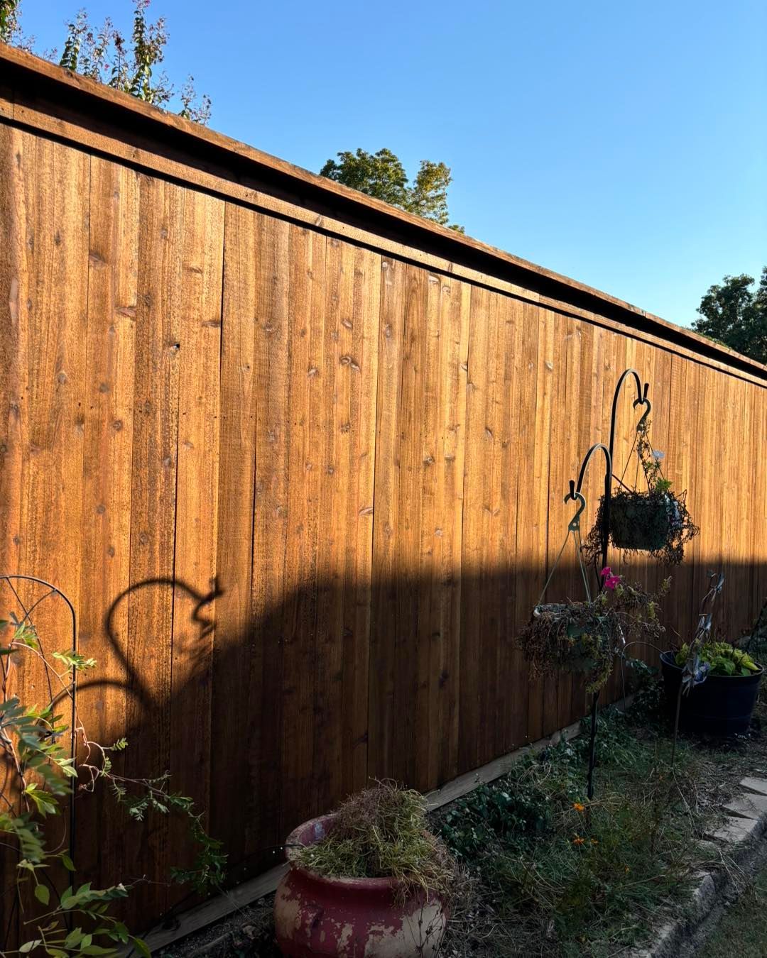 Wooden fence with potted plants in front, against a blue sky.