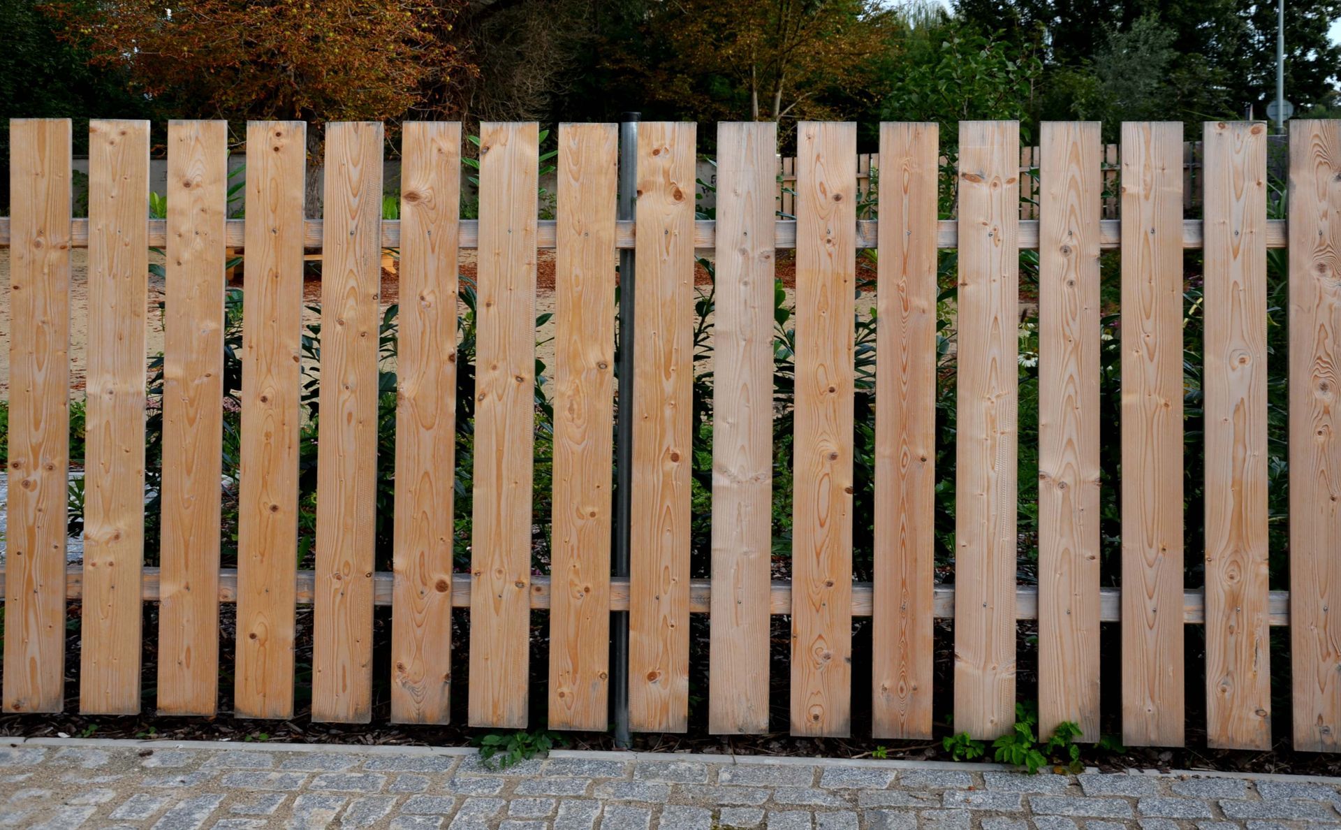 Wooden fencing in front of a shrub. Wooden fencing in front of a shrub.