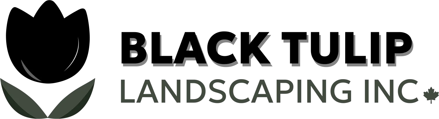 Black Tulip Landscaping Inc.