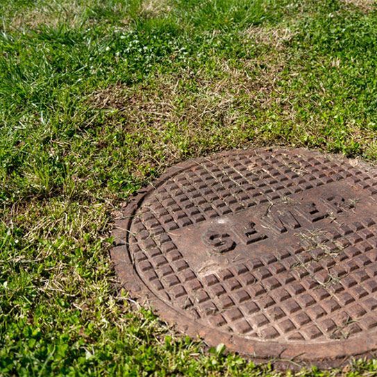 A Manhole Cover is Sitting in the Middle of a Lush Green Field — Elite Wastewater Solutions in Moss Vale, NSW