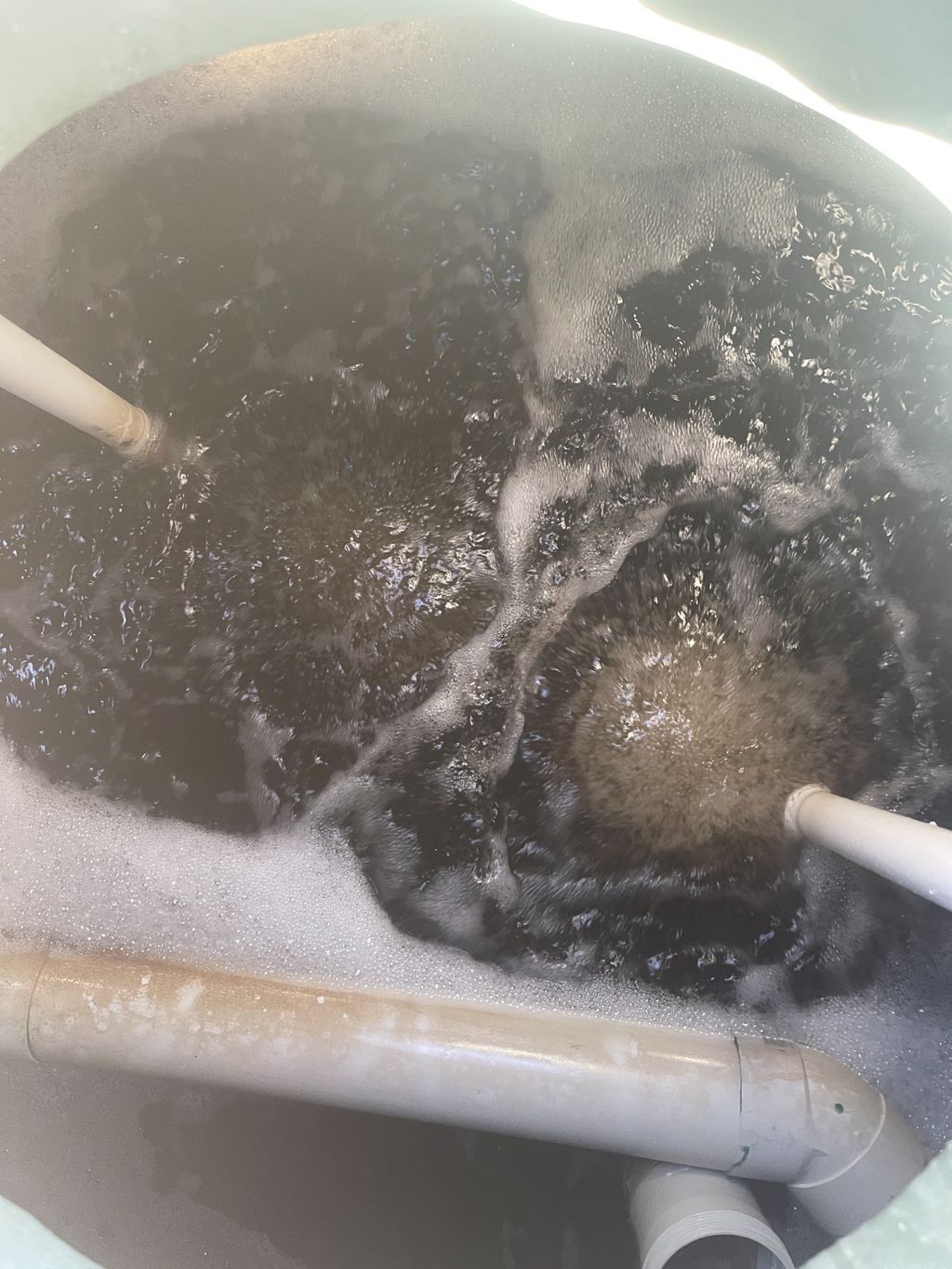 Digging to Install Septic System — Wastewater Management in the Southern Highlands, NSW