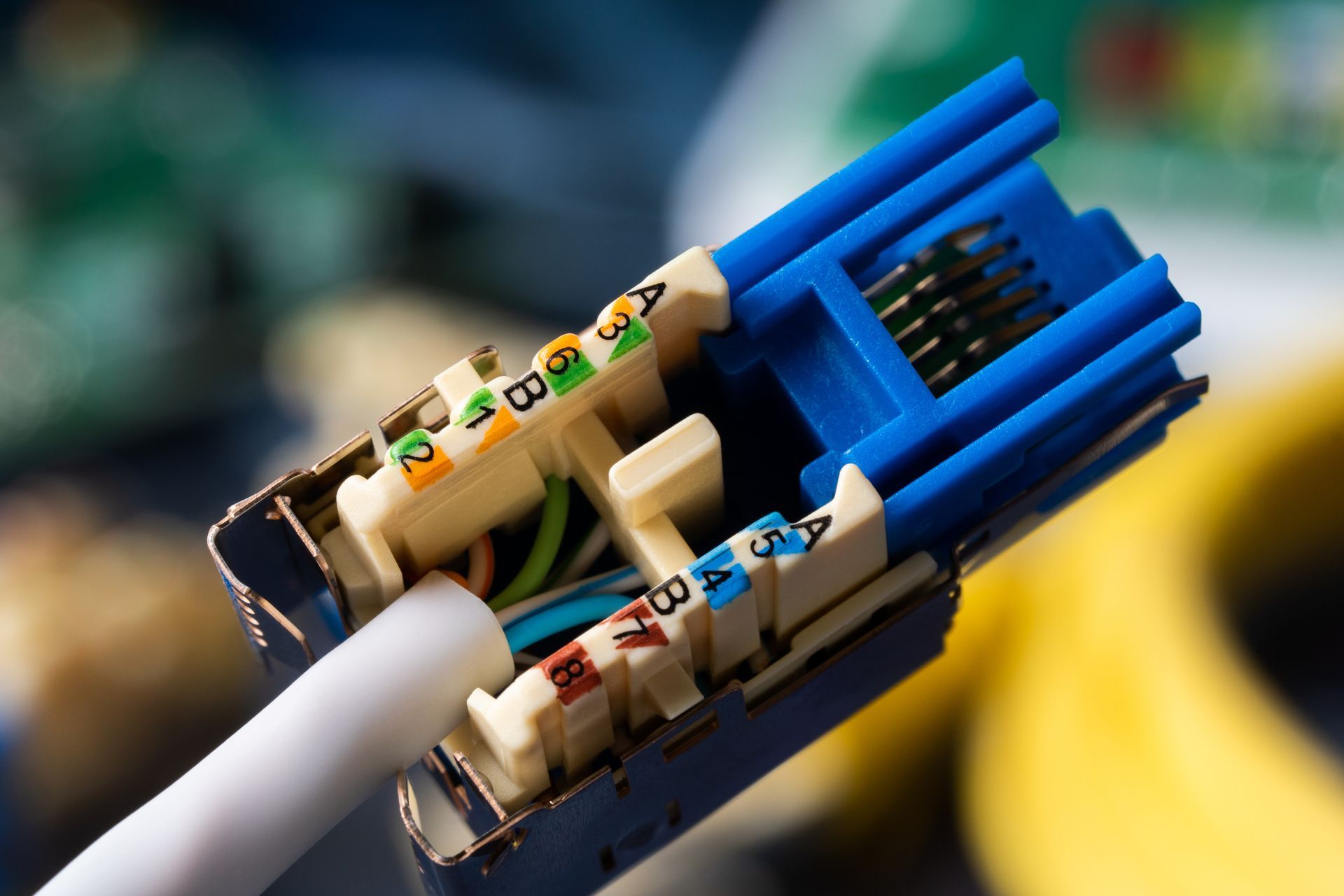 UTP Cat 6 Cabling Services - Cat5Guy