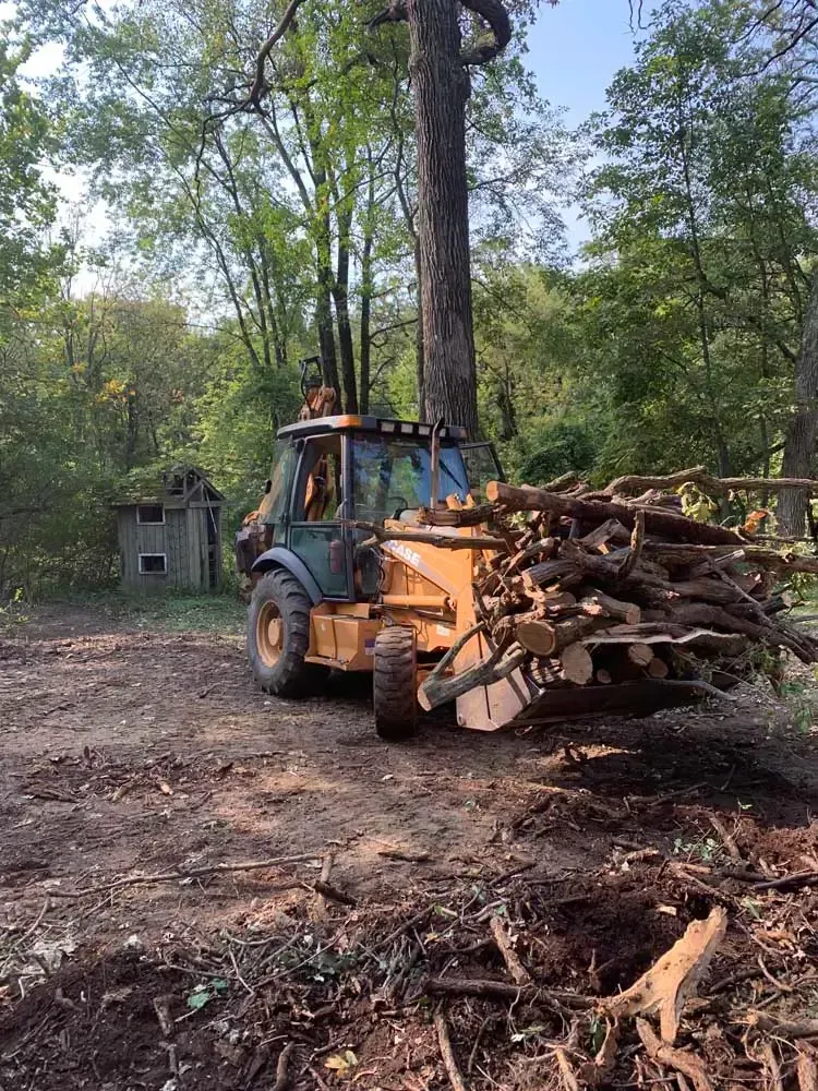 A tree removal in Madison, IN by Earth Shaping LLC