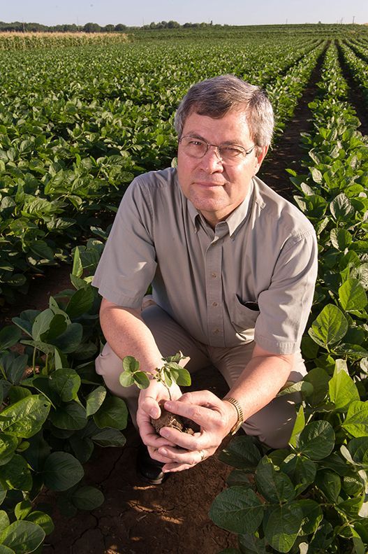 A man is kneeling in a field holding a plant in his hands.