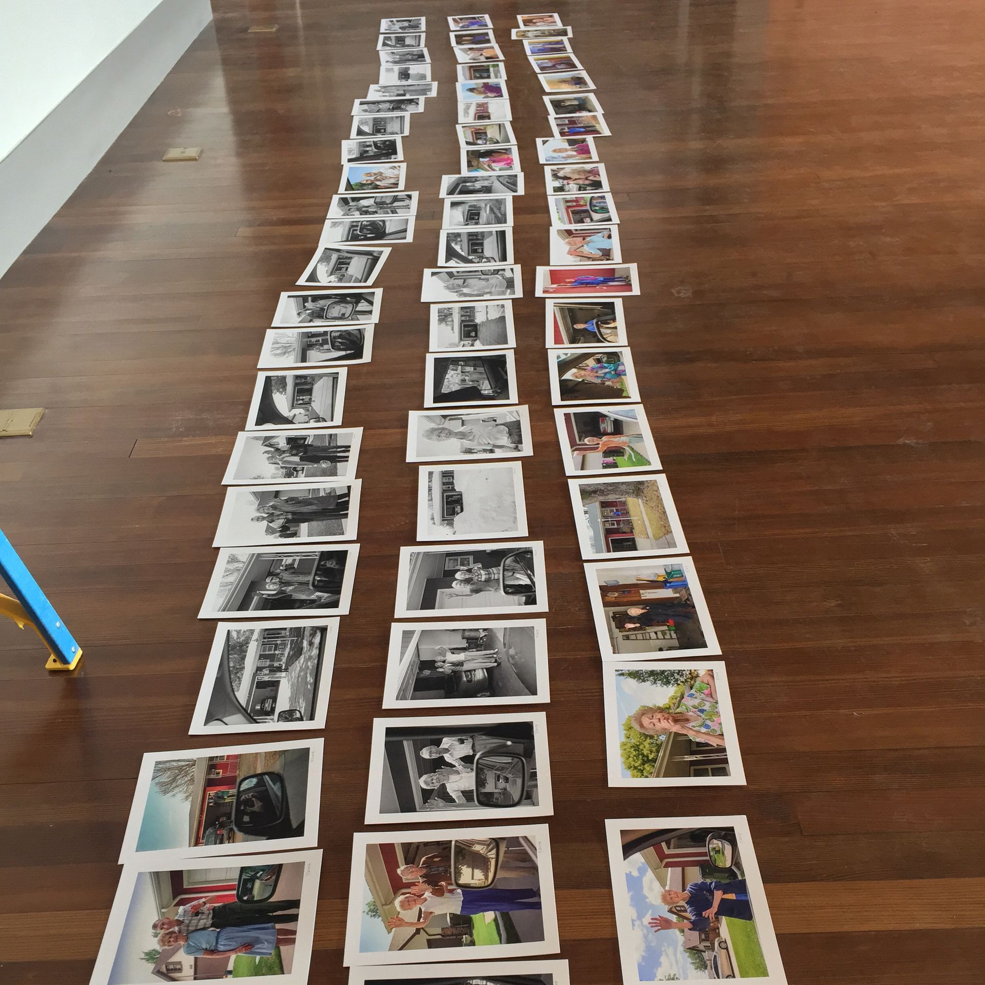 Photographs arranged in three parallel rows on a wooden floor, with a variety of subjects in each.