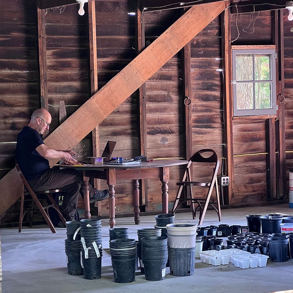 Man at a table in a wooden barn, working on a laptop. Plant pots are in foreground.