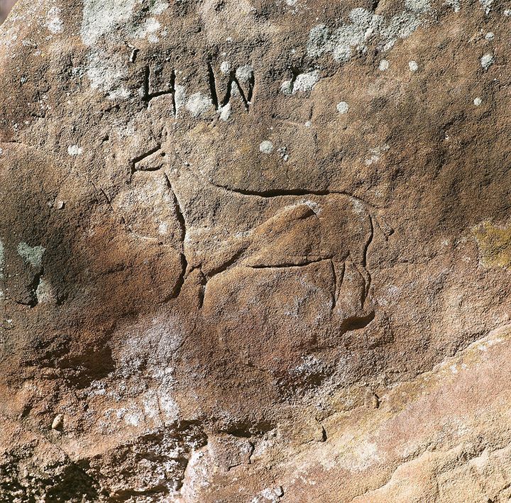 A rock with a drawing of a deer and the word law written on it