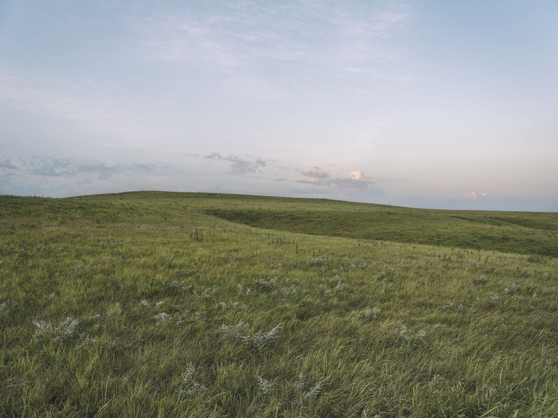 Rolling green hills under a pale blue sky.