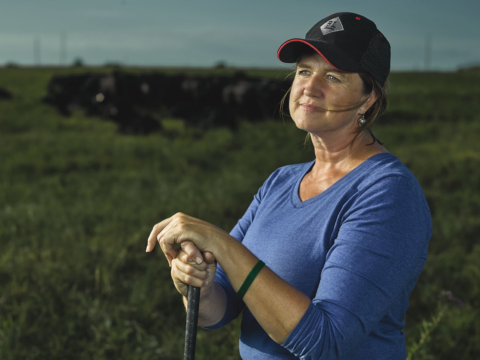 Woman in a blue shirt and hat, leaning on a stick, looks toward a herd of black cows in a field.