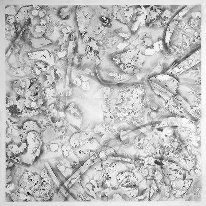 Abstract grayscale artwork with overlapping shapes, organic patterns.