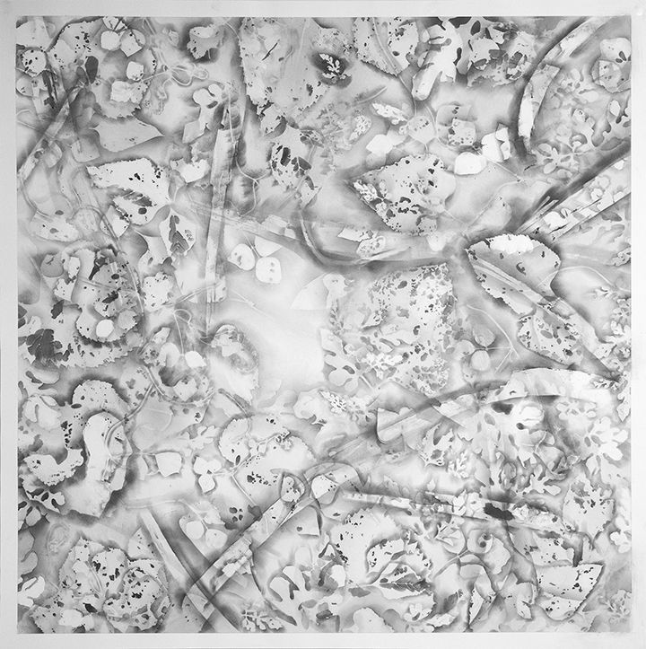Abstract grayscale artwork with textured shapes and patterns resembling natural forms.