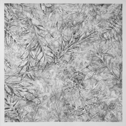 Overlapping pencil drawing of various leaves and plants in shades of gray.
