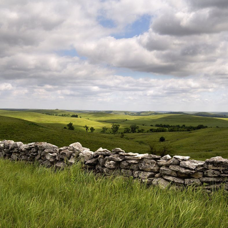 A stone wall in the middle of a grassy field