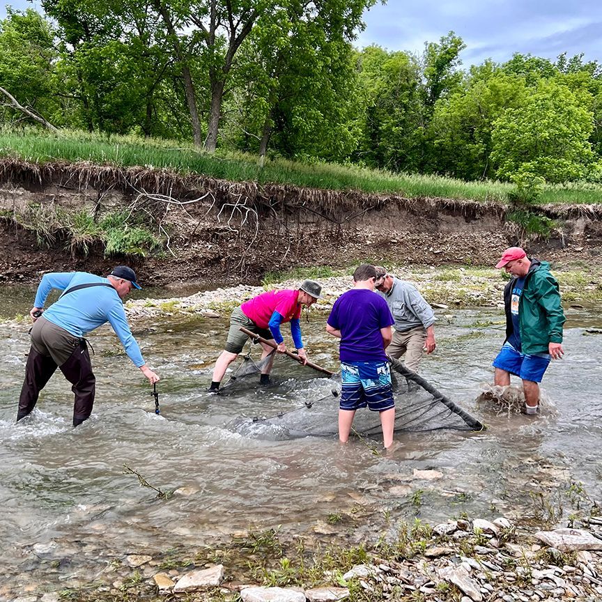 Five people use nets in a shallow stream, collecting samples near a grassy bank with trees.