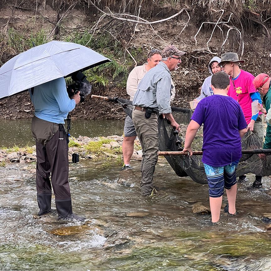 People wade in a stream, netting something black. One holds an umbrella while filming.