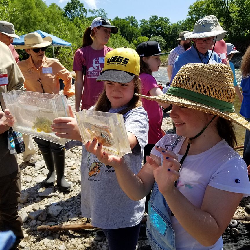 Young child with blonde hair looks at a