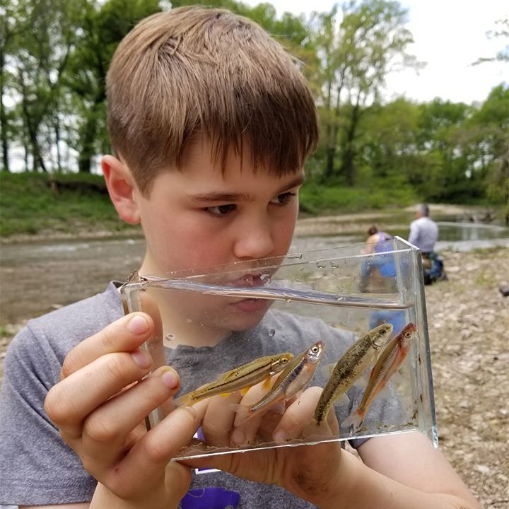 Boy holding a clear container of small fish, near a creek, observing them intently.