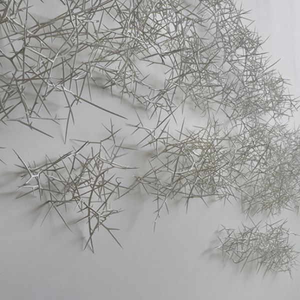 A bunch of thorny branches on a white surface