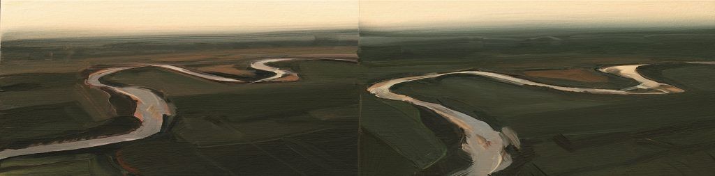An aerial view of a river flowing through a lush green field.
