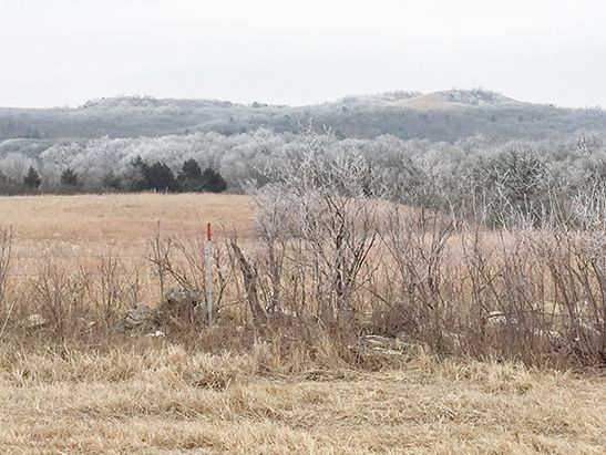 Frost-covered trees and hills in a winter landscape, with a field in the foreground under an overcast sky.