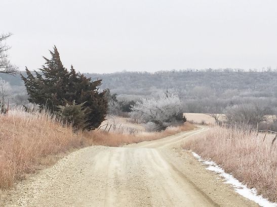 Gravel road winds through a field, bordered by brown grass and snow. Trees covered in frost in the background.