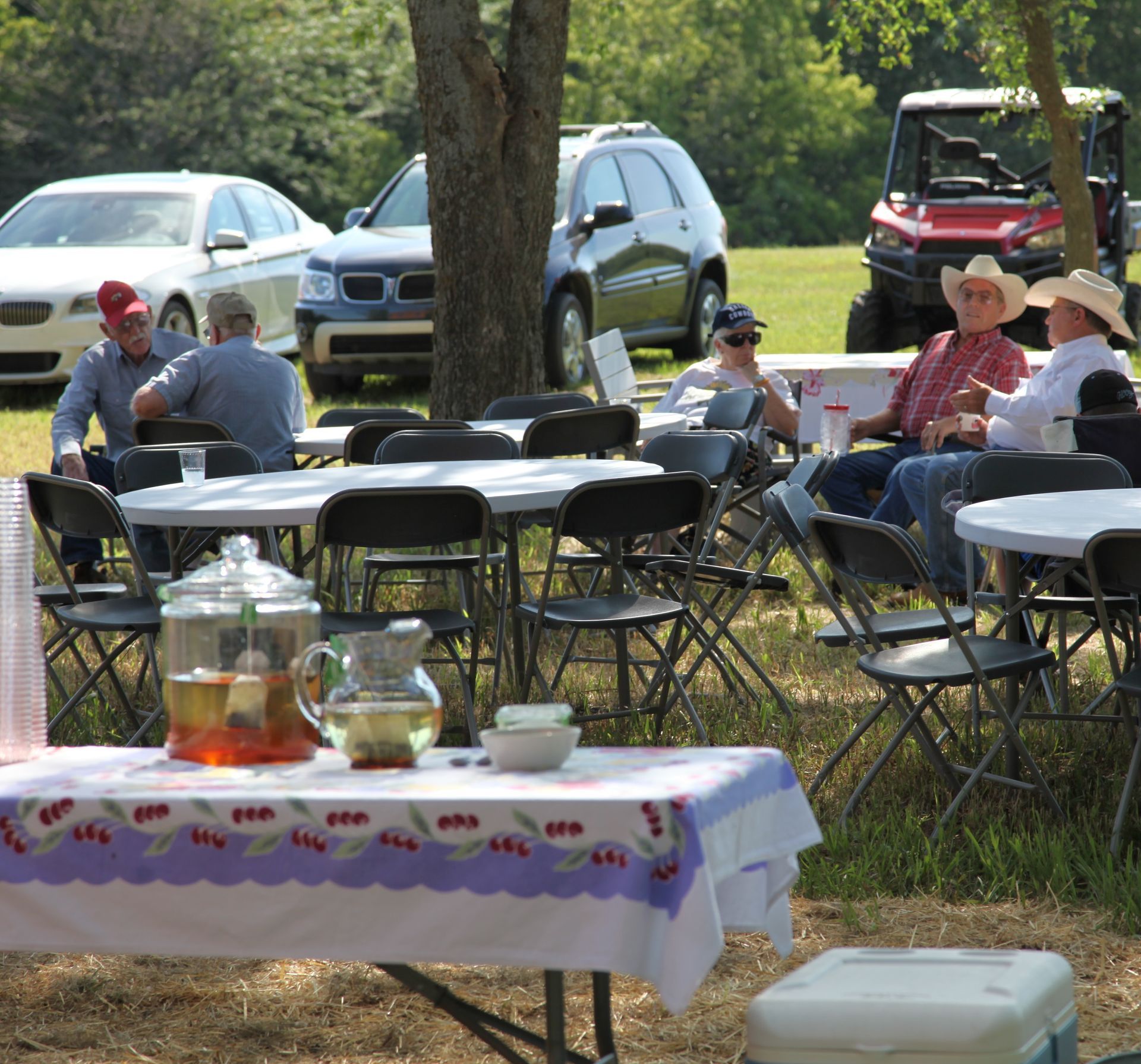 People sitting at tables outside, drinking tea and relaxing under trees on a sunny day. Cars and a utility vehicle parked nearby.