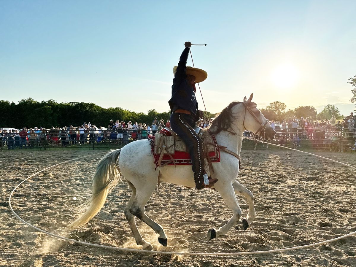 A horse rider is backlit by the sun in a dirt arena